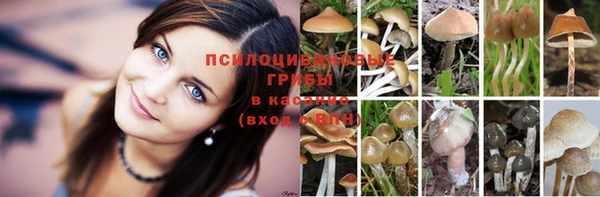 каннабис Алексеевка