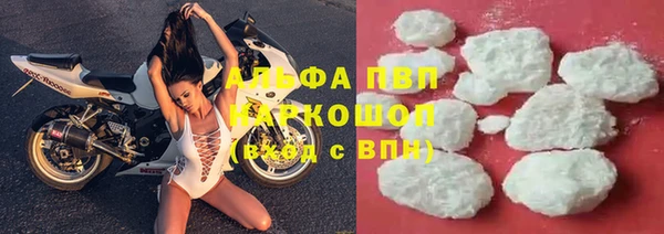 ECSTASY Алзамай