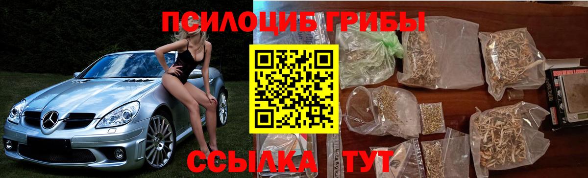 Псилоцибиновые грибы Magic Shrooms Кизилюрт