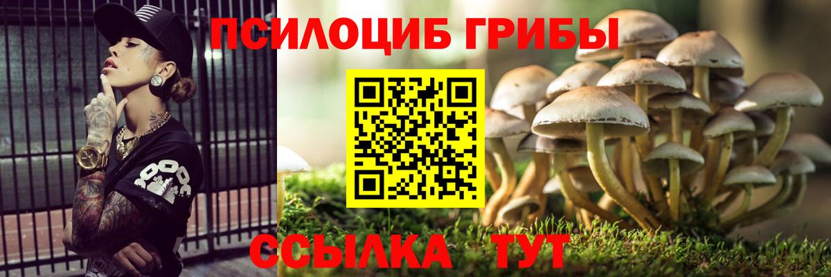 Галлюциногенные грибы Magic Shrooms  наркошоп  Кизилюрт  Вход с VPN  Псилоцибиновые грибы мицелий 